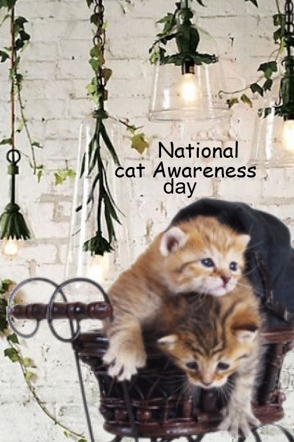 cat awareness day- Модное сочетание