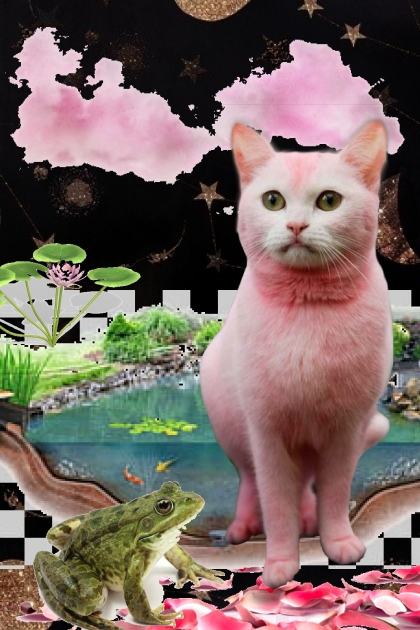 pink kitty looking 4 her prince- Modna kombinacija