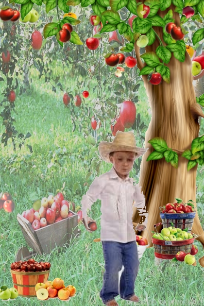 apple harvest - コーディネート