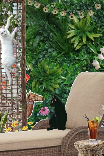 perfect patio for pets- Fashion set