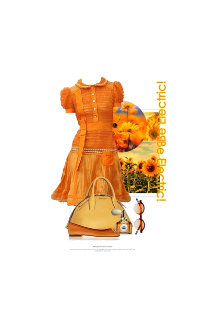 Les Couleurs Des Fleurs / The Colours Of Flowers - Fashion set