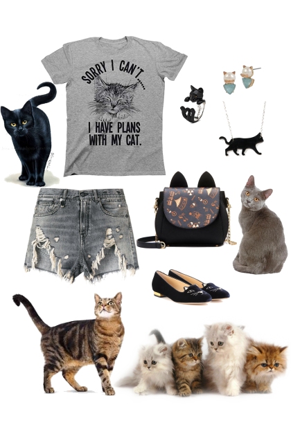 cats over humans 100%- combinação de moda