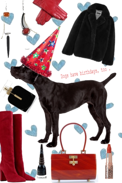 DOGS HAVE BIRTHDAYS, TOO ! - Modna kombinacija