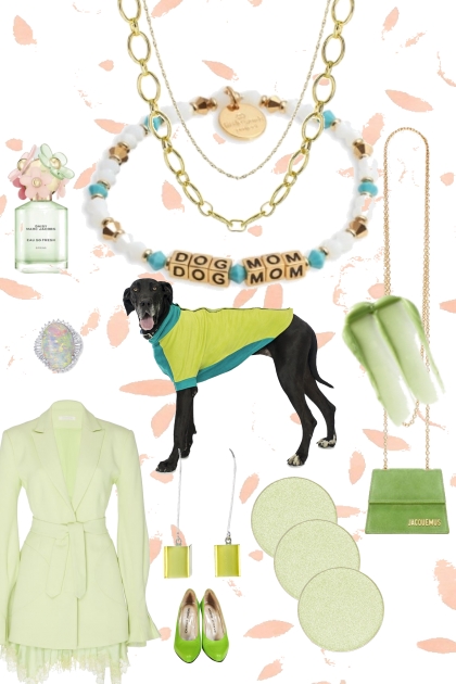 MATCH THE DOG- Combinazione di moda