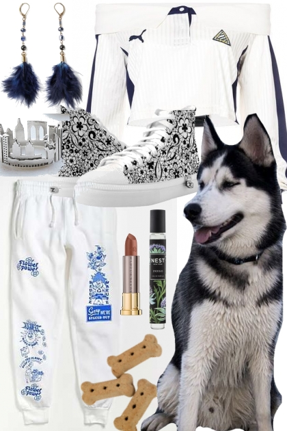 DOGGIE WALKING- Fashion set