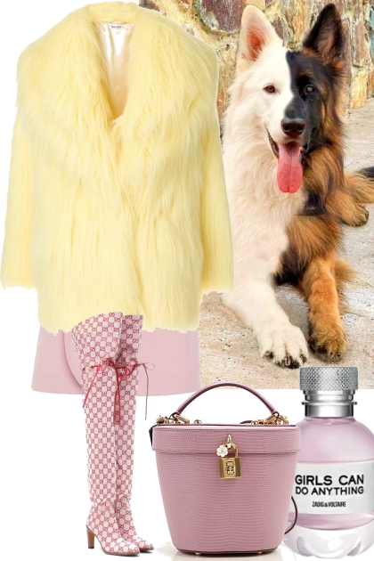 BRING YOUR DOG TO WORK DAY - Fashion set