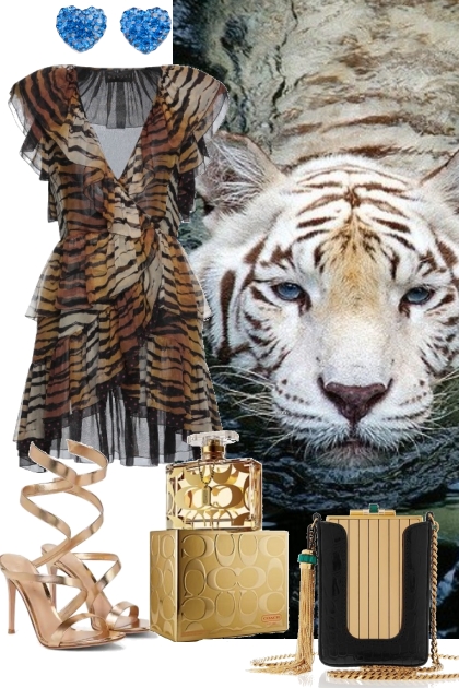 TIGER STRIPED DRESS 7 9 2022- Fashion set