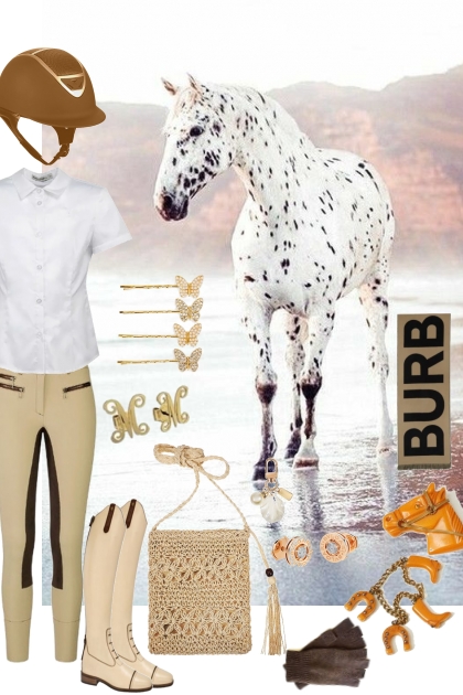 AUTUMN '24 EQUESTRIAN 9/10/24- Fashion set