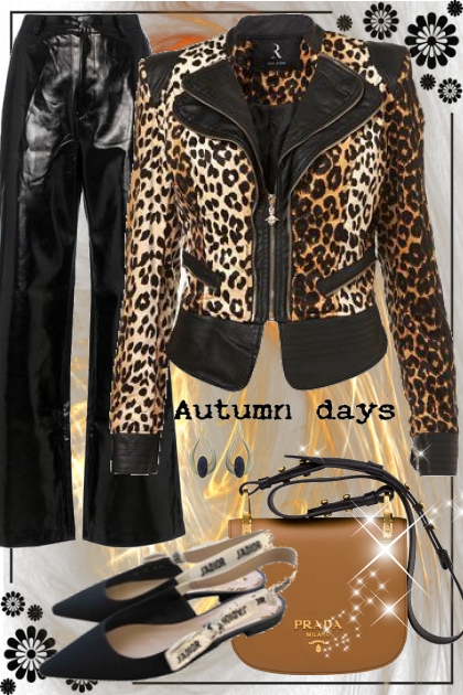 Autumn days- combinação de moda