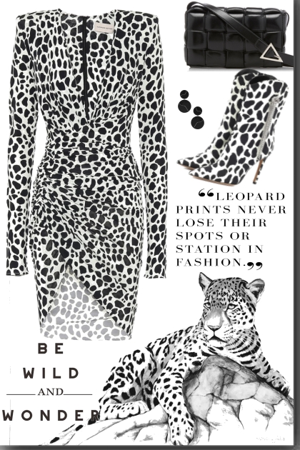 Leopard Print Dress- Combinaciónde moda
