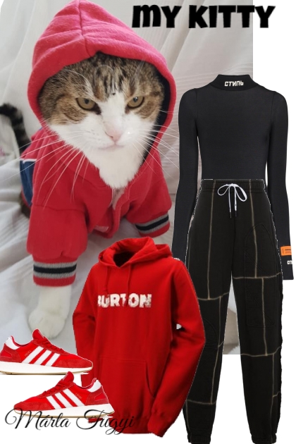 My Kitty- Fashion set