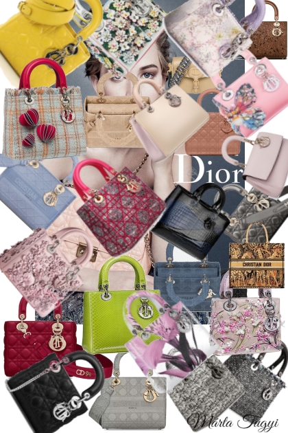The Dior bag throws up all the clothes ... 