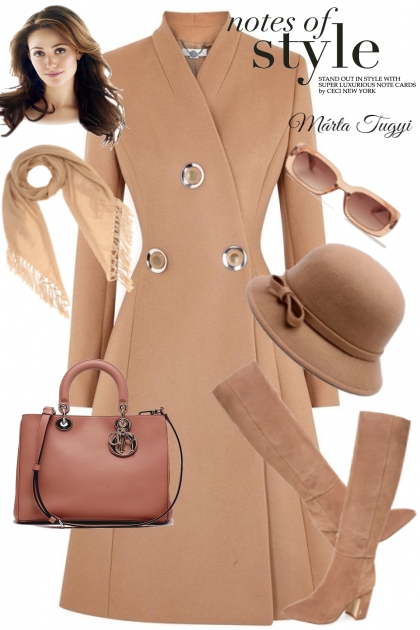 beautiful coat - Модное сочетание