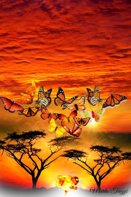 dance of butterflies in the sunset