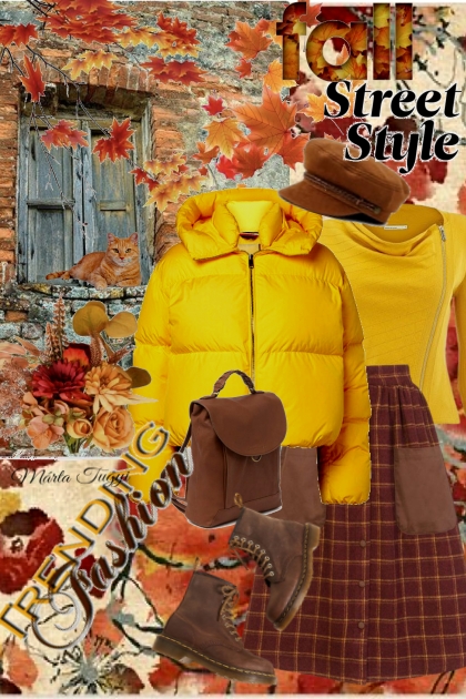 Fall street style 2.- combinação de moda