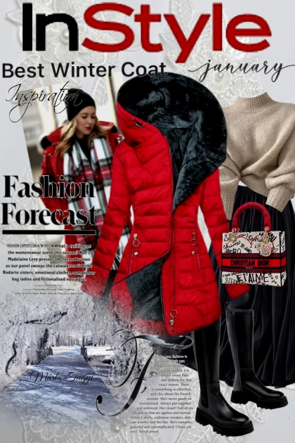 winter coat 2.- combinação de moda