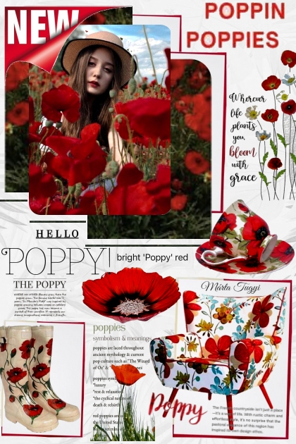 Hello Poppy!- combinação de moda