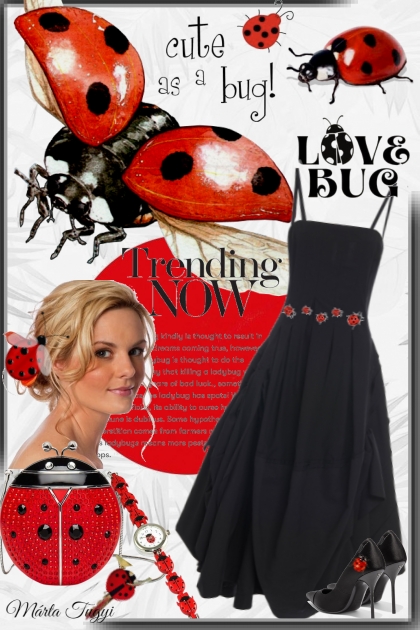 lady bug- combinação de moda