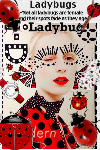 Ladybugs 2.- 搭配