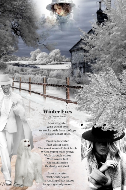 Winter Eyes- Fashion set
