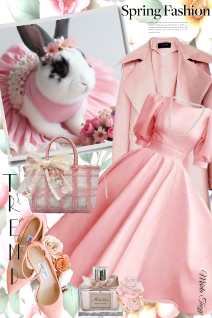 stylish bunny- Fashion set
