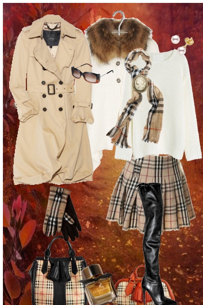 j - 36 - burberry- Fashion set