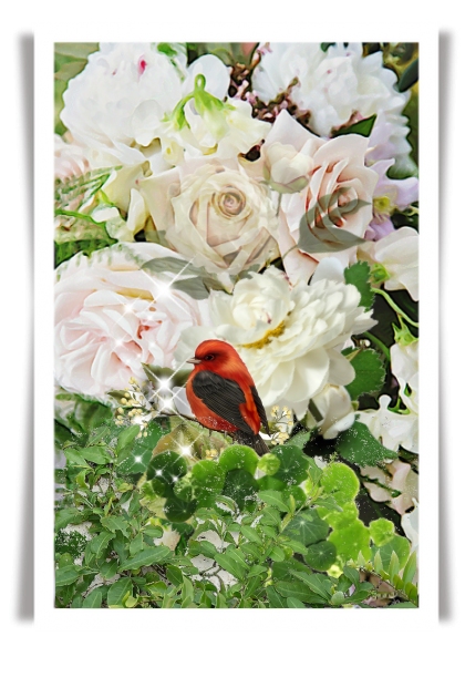 Red bird among roses