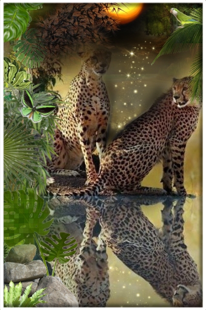 Leopard love