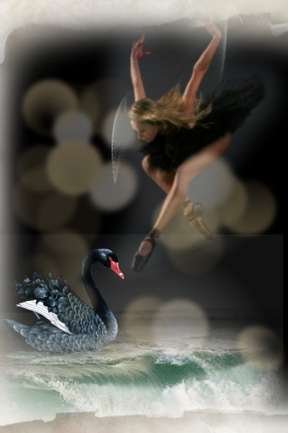 Dance of the black swan- Combinazione di moda