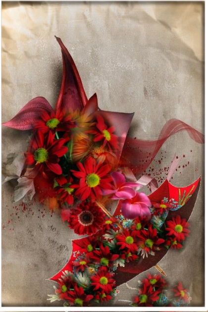 Red chrysanthemums- Modna kombinacija