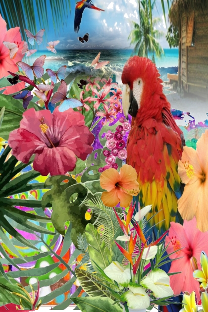 Parrots- combinação de moda