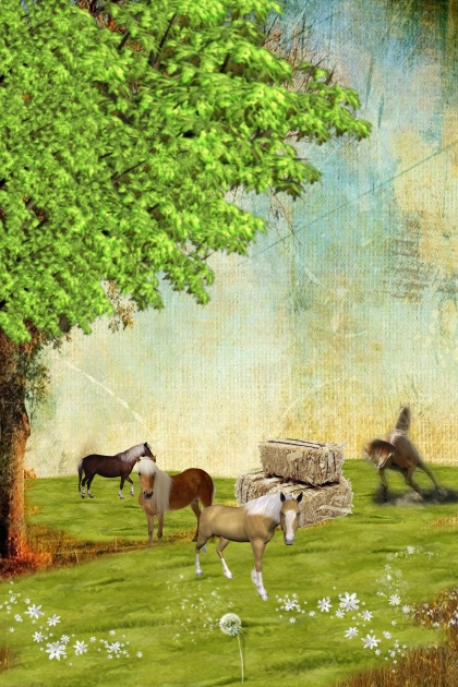 Horse pasture- Kreacja