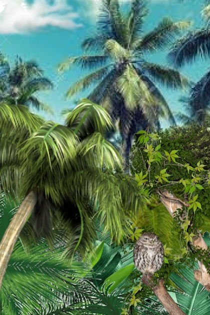 Palms- Modna kombinacija