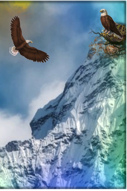 The eagle family- Kreacja