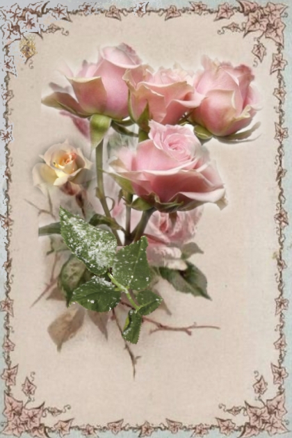 Pink roses 2- combinação de moda