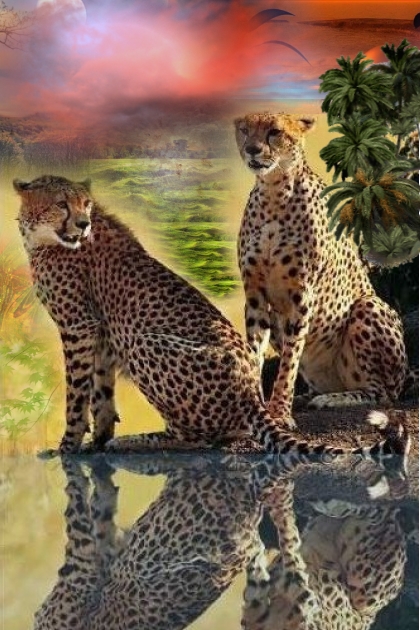 Two cheetahs- Combinazione di moda