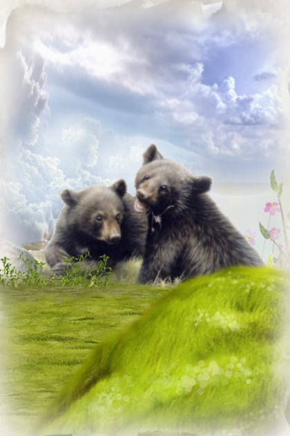 Bear cubs- combinação de moda