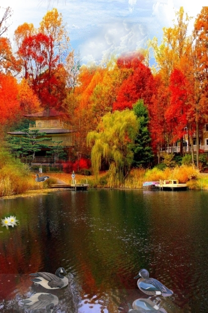 At the autumn pond- combinação de moda