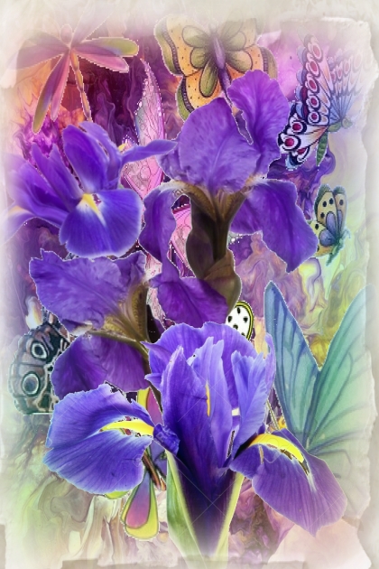 Irises- Combinazione di moda