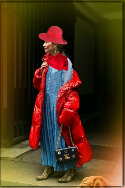 An outfit in red and blue- Fashion set