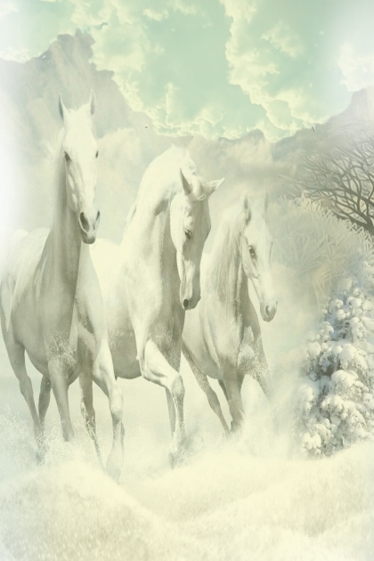 Snow-white horses