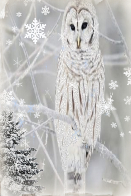 White owl- Combinaciónde moda