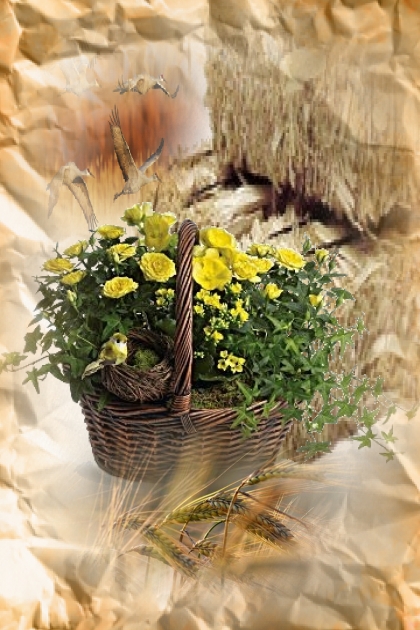 Golden yellow flowers- コーディネート