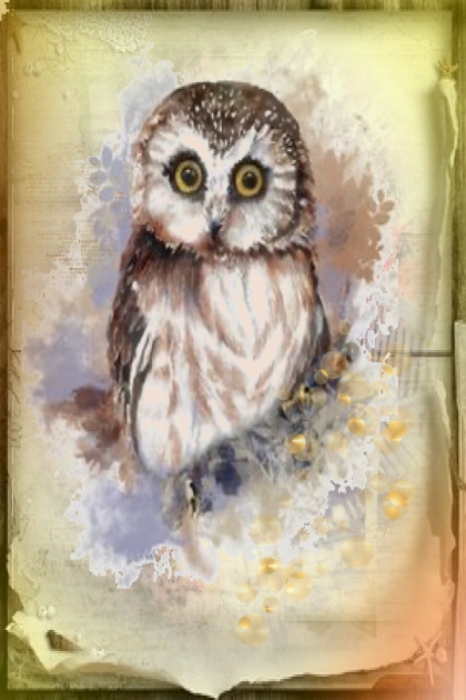 An owl- Modna kombinacija