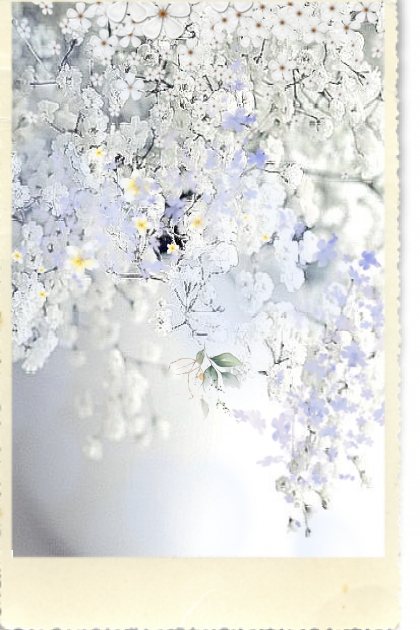 White flowers 6- Modna kombinacija