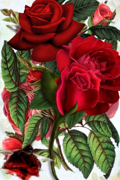 Red, red roses 2- Combinazione di moda