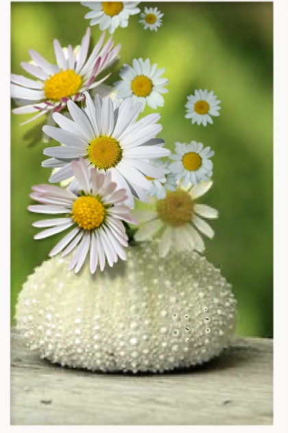 White daisies- Combinazione di moda