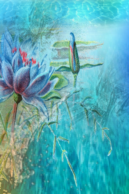 Blue water lilies- Modna kombinacija