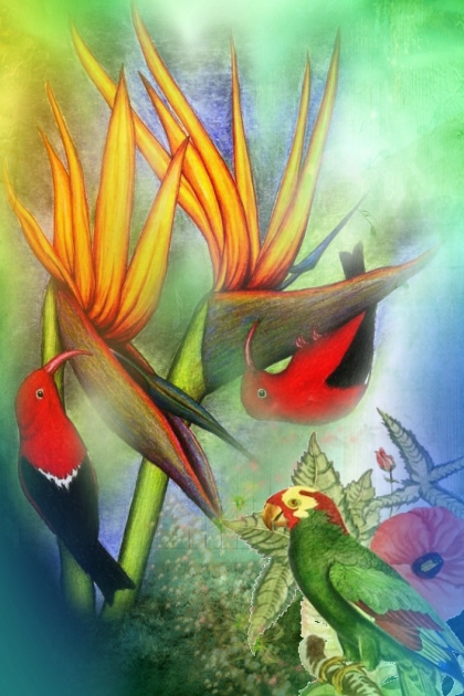 A parrot and hummingbirds