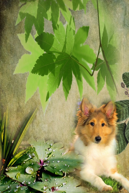 Doggy in the green- Combinazione di moda